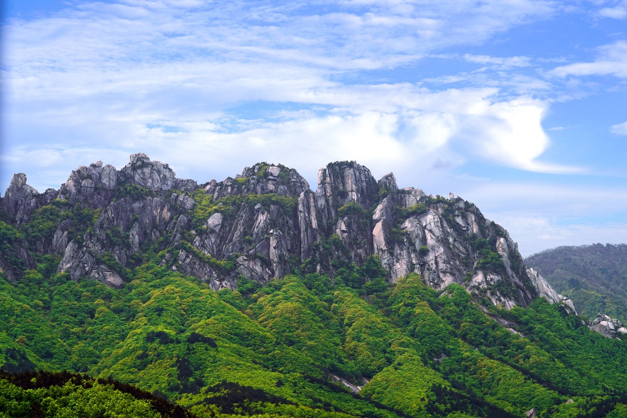 울산장기렌트카
