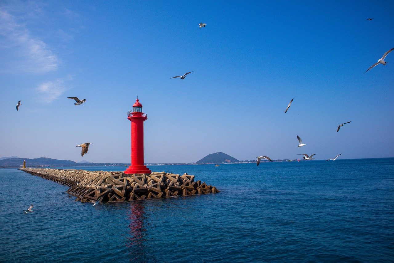 제주도장기렌트