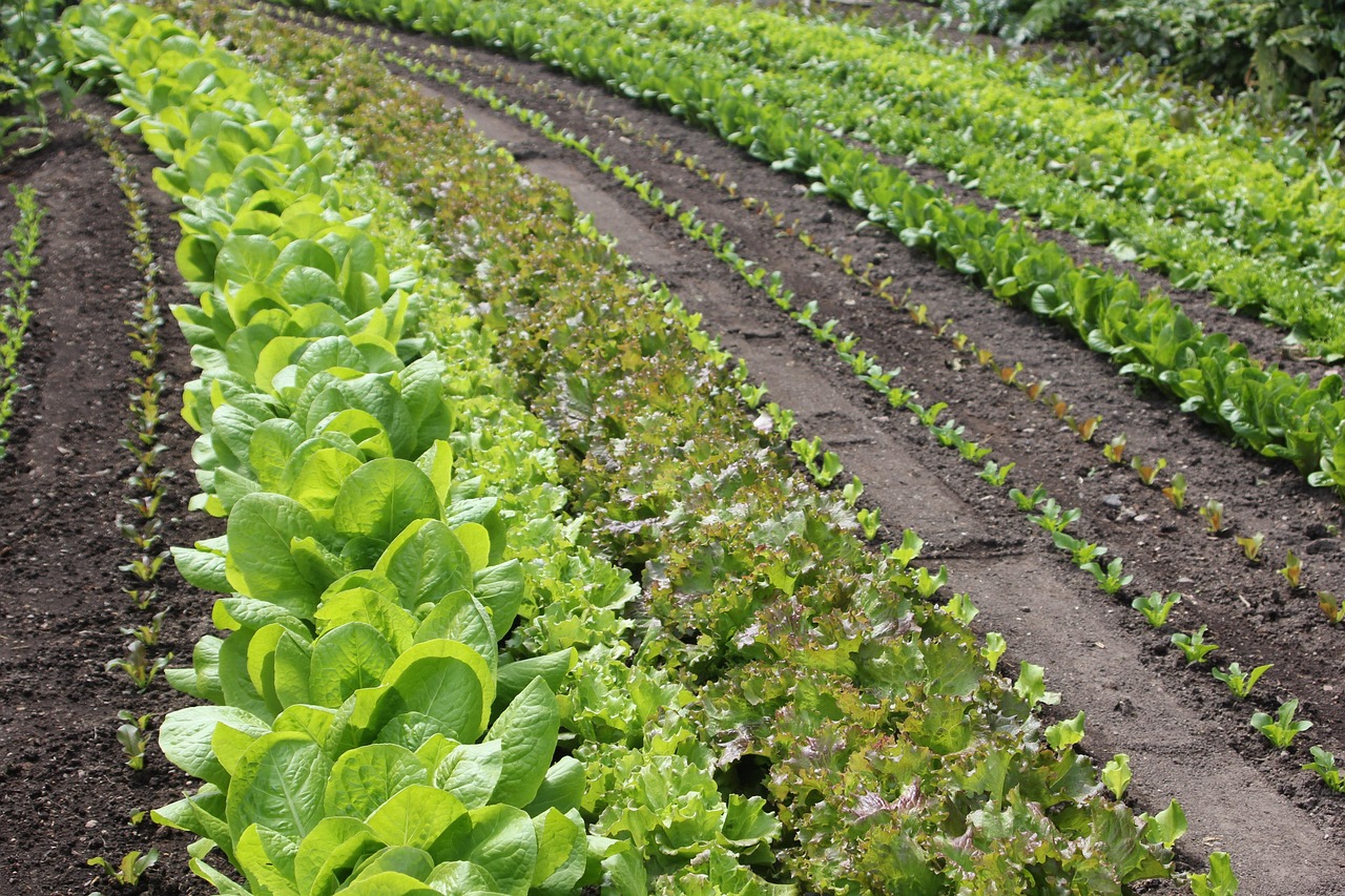 국산차할인