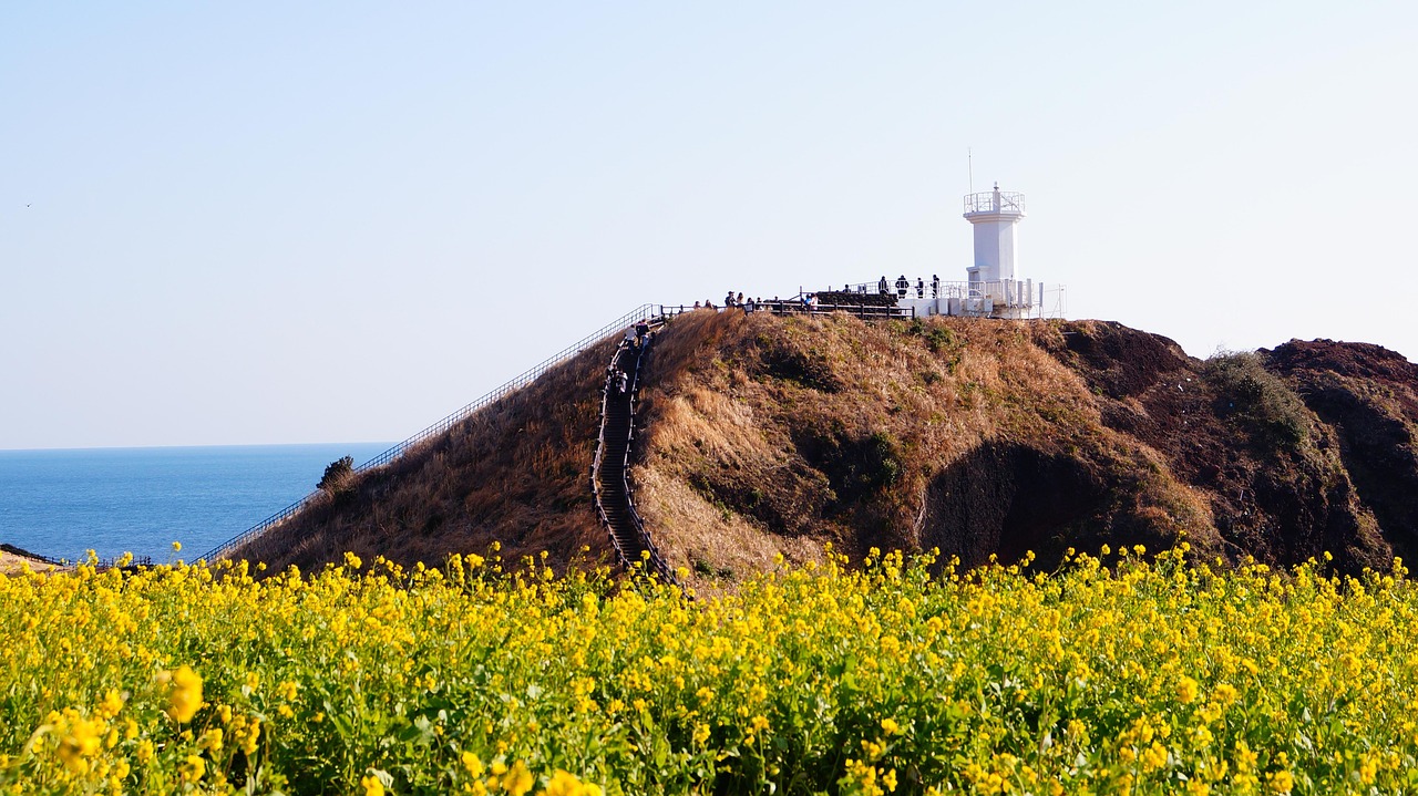 제주장기렌트