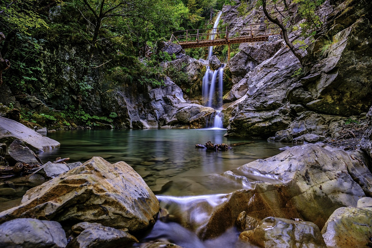 전연령월렌트
