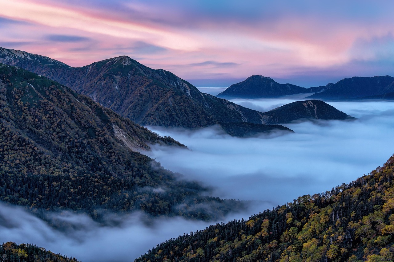 부산신차장기렌트