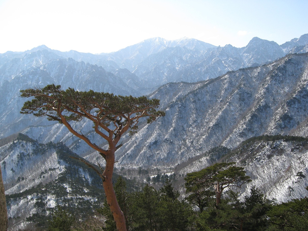 울산월렌트카