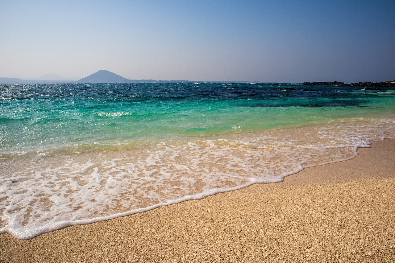 제주도장기렌탈