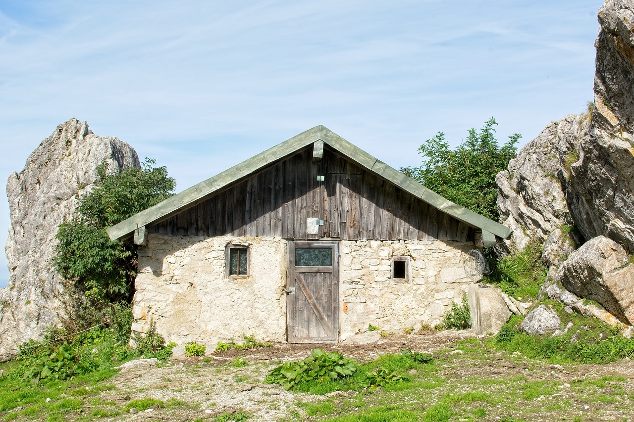 울산장기렌트