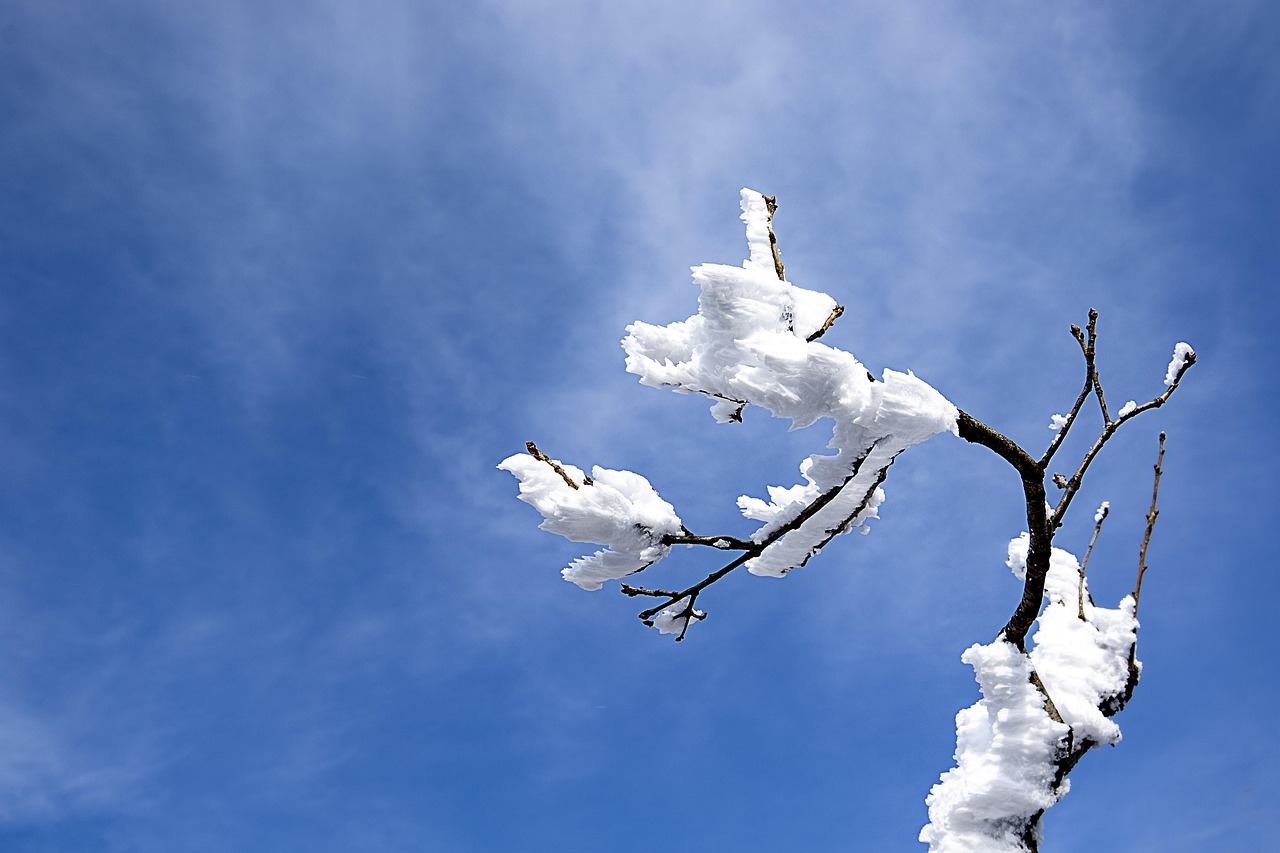 울산월렌트카